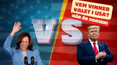 Vem vinner amerikanska valet enligt oddsen och analysen 2024