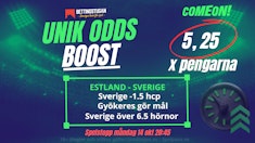 Sverige Nations League