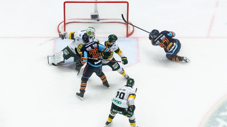 Djurgarden Bjorkloven pa Hovet