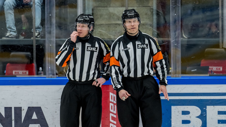 Hockeydomare SHL