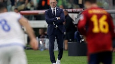 Luis de la Fuente Spanien EM 2024