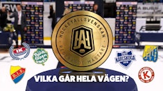 Odds vinnare Hockey Allsvenskan 2024 2025
