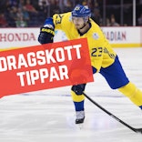 Dragskott