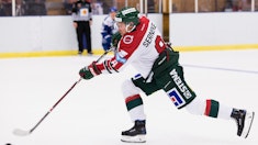 Frolunda