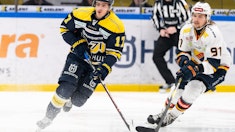 Hv71 djurgarden