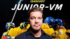 Salo junior vm 20232024 i sveirge