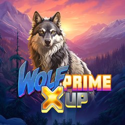 Wolf Prime X Up